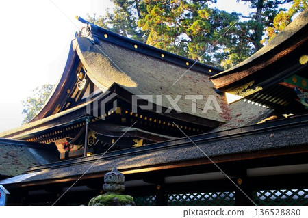 One of the three major shrines in the eastern part of Japan... "Katori Shrine" One of the three major shrines in the eastern part of Japan... "Katori Shrine" 136528880