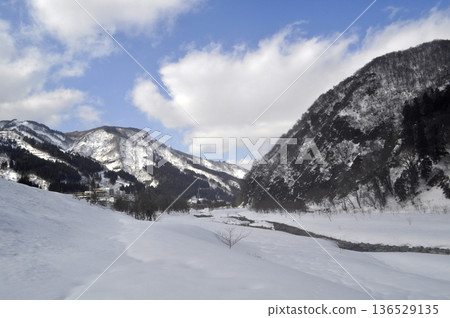 Winter snow scene 136529135