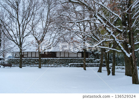 Snow scene in the mansion forest 136529324