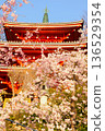 三層寶塔與櫻花 2504 01 136529354