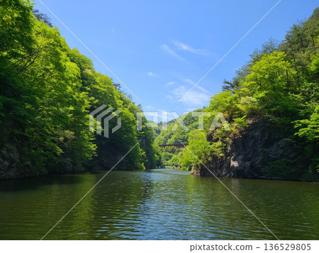 Fresh green dam Fresh green dam 136529805