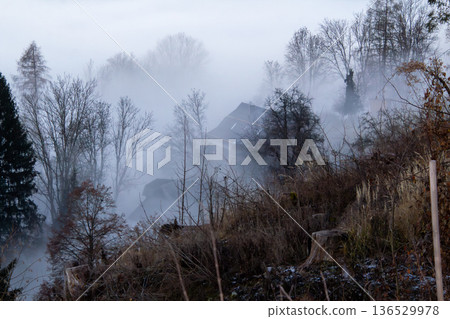 Mist passing through the valley in Austria Mist passing through the valley in Austria 136529978