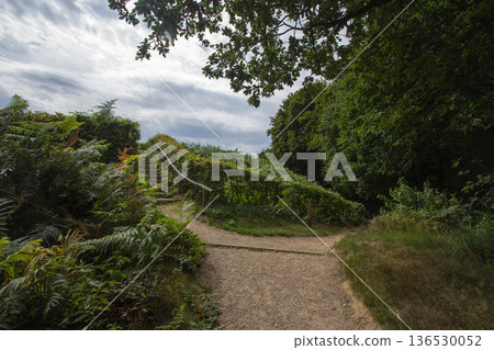 Forest landscape near Beek in the Achterhoek 136530052