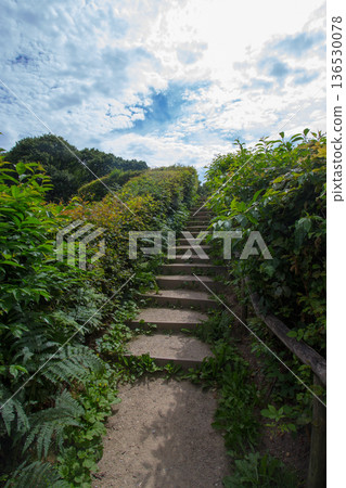 Forest landscape near Beek in the Achterhoek 136530078
