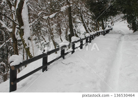 Snow-covered walking path Snow-covered walking path 136530464