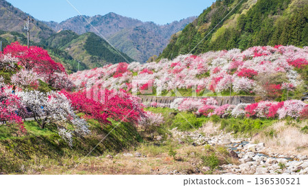 Hanamo no Sato Hanamo no Sato 136530521