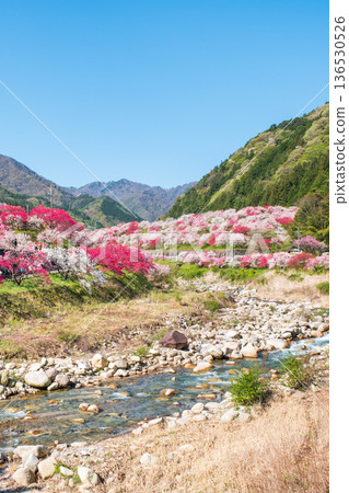 Hanamo no Sato 136530526