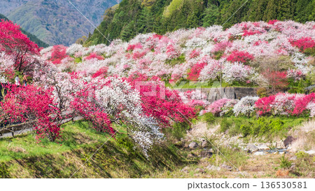 Hanamo no Sato Hanamo no Sato 136530581