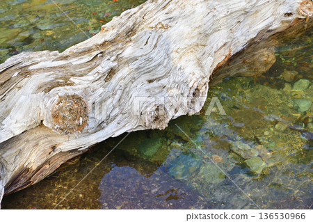 猿京町水上町赤谷河漂流木 猿京町水上町赤谷河漂流木 136530966