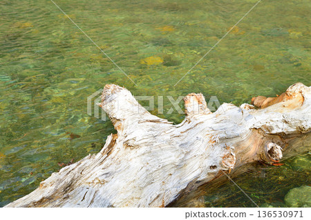 猿京町水上町赤谷河漂流木 猿京町水上町赤谷河漂流木 136530971