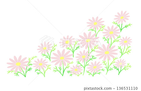 Pink daisy 136531110