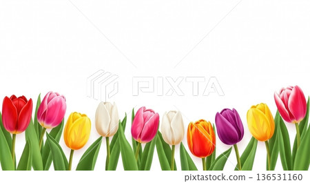 粉彩水彩鬱金香插畫 | 春季廣告與卡片，留有文字空間 136531160