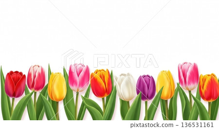 粉彩水彩鬱金香插畫 | 春季廣告與卡片，留有文字空間 136531161