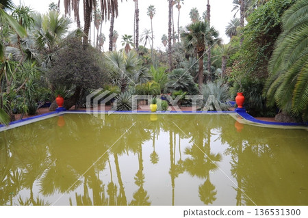 Interior view of Majorelle Gardens in Marrakech, Morocco 1 136531300