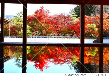 群馬縣桐生市寶德寺地面上的楓葉 群馬縣桐生市寶德寺地面上的楓葉 136531911