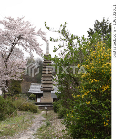 奈良市般若寺的櫻花 奈良市般若寺的櫻花 136532011