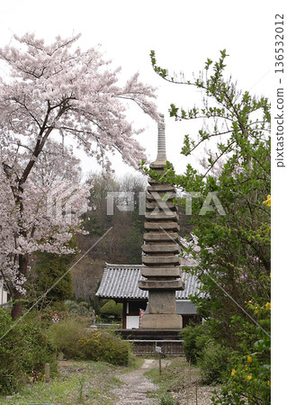 奈良市般若寺的櫻花 奈良市般若寺的櫻花 136532012