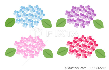 色彩繽紛的繡球花插畫素材 136532205