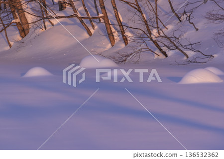 Snow covered wood 136532362
