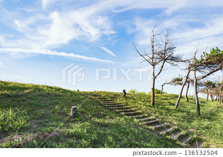 新潟潮風公園（柏崎市） 136532504