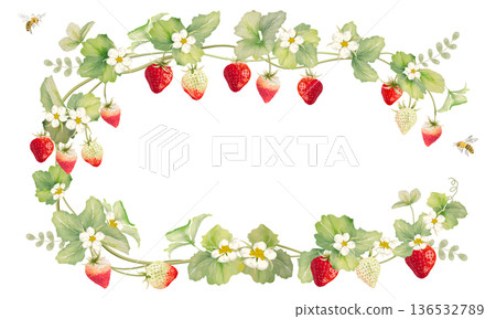草莓與蜜蜂水彩畫框 草莓與蜜蜂水彩畫框 136532789