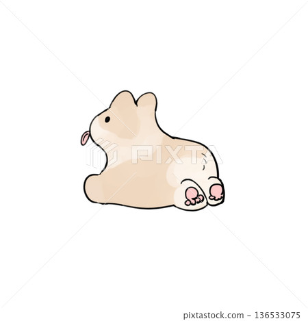 Cute little Corgi 136533075
