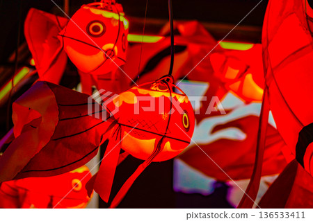 一群紅色的金魚燈籠 136533411