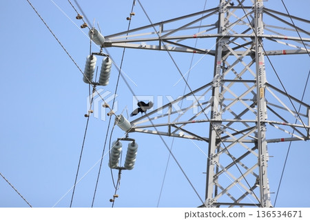 A crow returns to its nest on a steel tower A crow returns to its nest on a steel tower 136534671