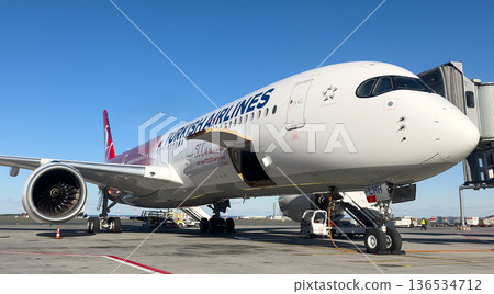 Turkish Airlines A330 Turkish Airlines A330 136534712