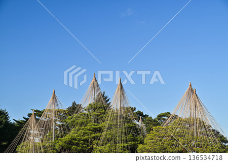 初冬的兼六園,晴空萬裡 初冬的兼六園,晴空萬裡 136534718