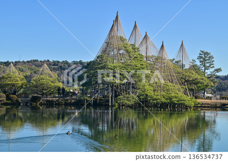 初冬的兼六園,晴空萬裡 初冬的兼六園,晴空萬裡 136534737