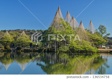 初冬的兼六園，晴空萬裡 136534738