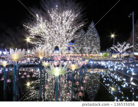 足利花卉公園「光之花舞台」2 足利花卉公園「光之花舞台」2 136535056