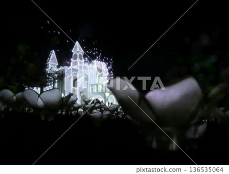Ashikaga Flower Park "Flower Castle" 2 Ashikaga Flower Park "Flower Castle" 2 136535064