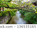 Kyoto: The charming Gion Shirakawa 136535165