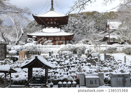 雪之根來寺 6 雪之根來寺 6 136535368