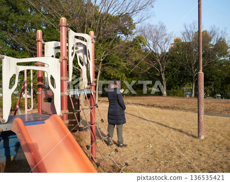 A middle-aged housewife walking in the park on a winter afternoon A middle-aged housewife walking in the park on a winter afternoon 136535421