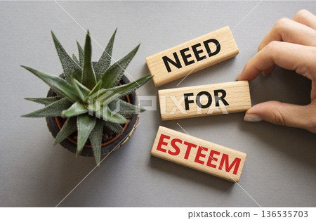 Need for Esteem symbol. Concept words Need for Esteem on wooden blocks. Beautiful grey background with succulent plant. Businessman hand. Business and Need for Esteem concept. Copy space. 136535703