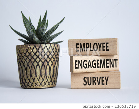 Employee Engagement Survey symbol. Concept words Employee Engagement Survey on wooden blocks. Businessman hand. Beautiful white background with succulent. Business concept. Copy space. 136535719