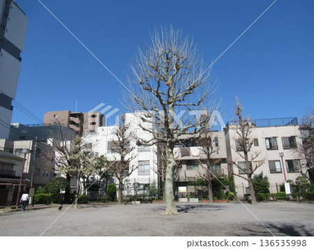 Near Matsuchiyama Shoden Park 136535998