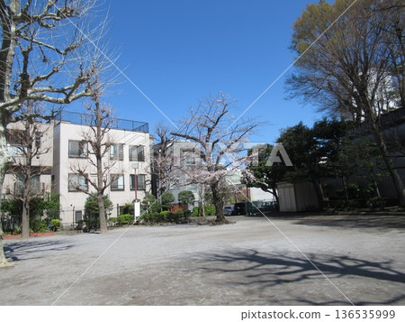 松山松田公園附近 松山松田公園附近 136535999