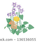 一隻小老鼠在紫羅蘭叢中酣睡的插圖 136536055