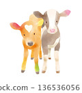 兩頭友善的小牛的插圖 136536056