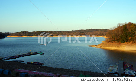 Iruka Pond, Inuyama City 136536283