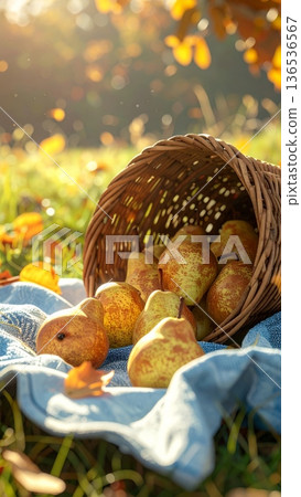 Pears Spilling from Wicker Basket on Picnic Blanket in Autumn Pears Spilling from Wicker Basket on Picnic Blanket in Autumn 136536567