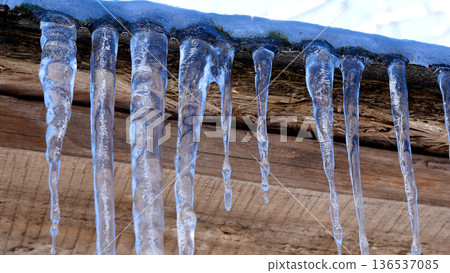 Many long icicles hang from the roof. Water drips from ice icicles.  136537085
