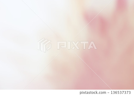 A soft abstract background in muted reddish purple colors A soft abstract background in muted reddish purple colors 136537373
