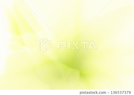 綠色、黃色柔和色調的抽象背景，帶有隨機線條 136537379