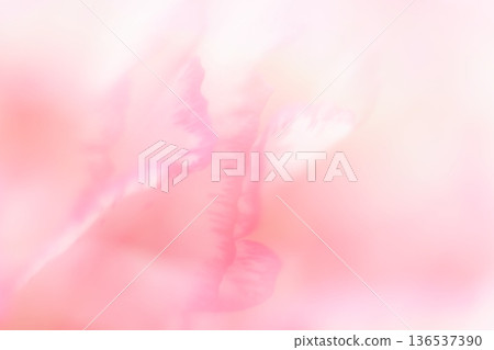 A warm pastel (pink) background that makes use of the edges of flowers A warm pastel (pink) background that makes use of the edges of flowers 136537390