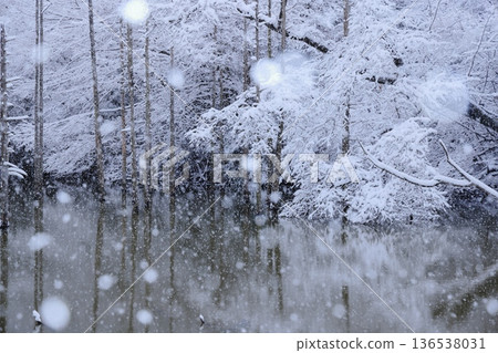 小山平公園的積雪淹沒森林 136538031